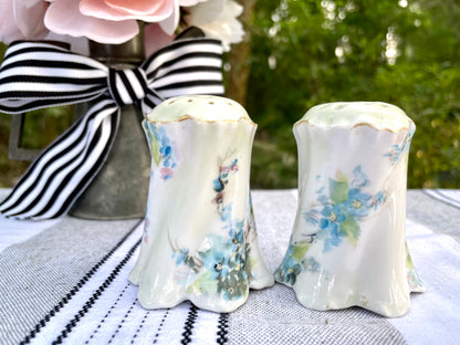 rc versaille bavaria, r.c. versaille bavaria, rosenthal versaille bavaria, versaille bavaria shakers, rosenthal versailles bavaria salt pepper, antique german blue floral shakers, hand painted bavaria porcelain, early 1900s rosenthal Thebrokenbirdcompany free shipping
