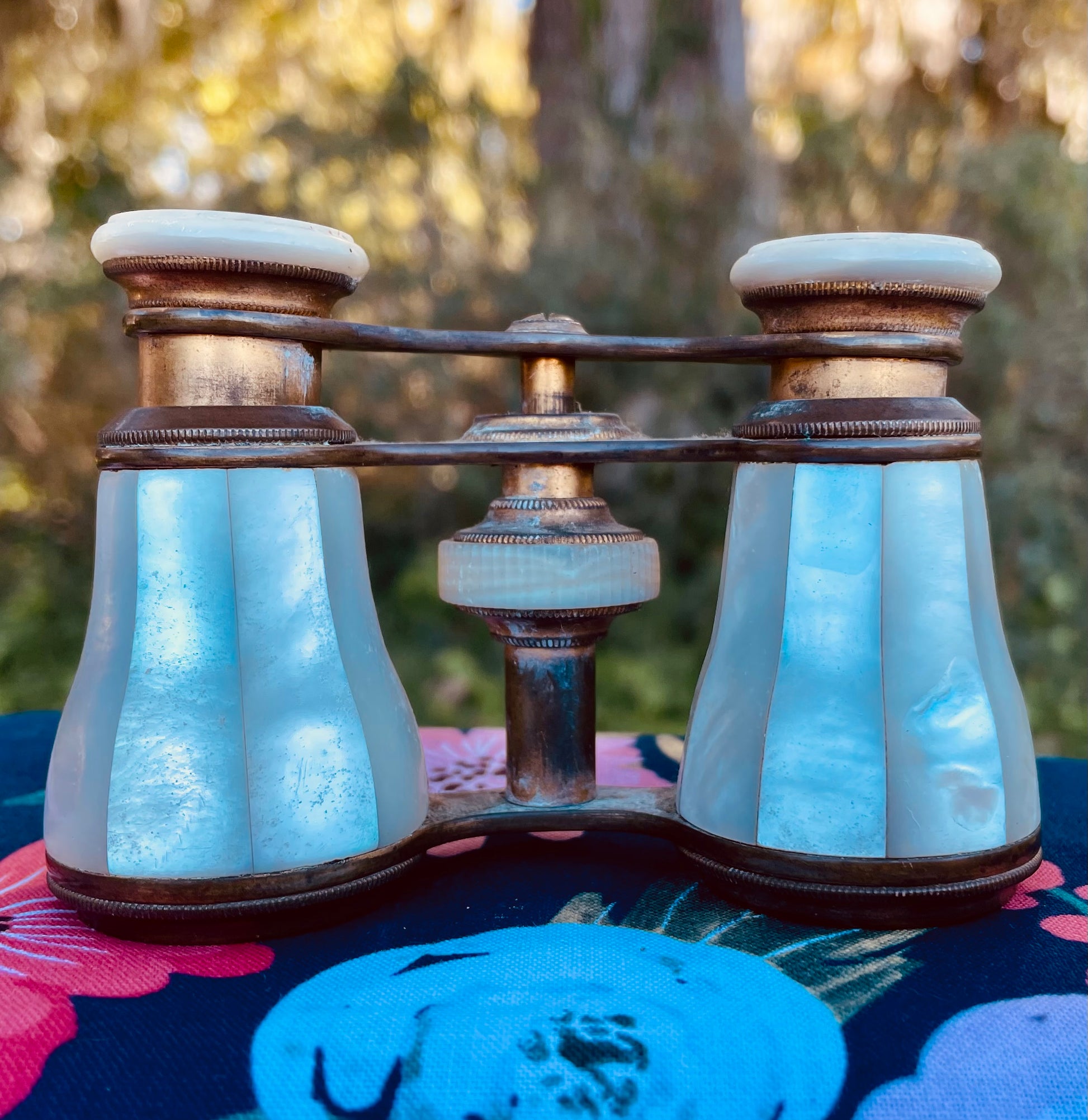 Verei Paris Opera glasses antique 1890s french theater glasses mother of pearl brass
antique opera glasses
- mother of pearl binoculars
- Verei Paris opera glasses
- 1890s French theater binoculars
- brass opera glasses
- vintage theater accessories
- Victorian opera binoculars
- mother of pearl antiques
- French antique optics
- Belle Epoque collectibles
- theater glasses antique
- Paris vintage binoculars
- opera house accessories
- iridescent mother of pearl
- historical optical instruments