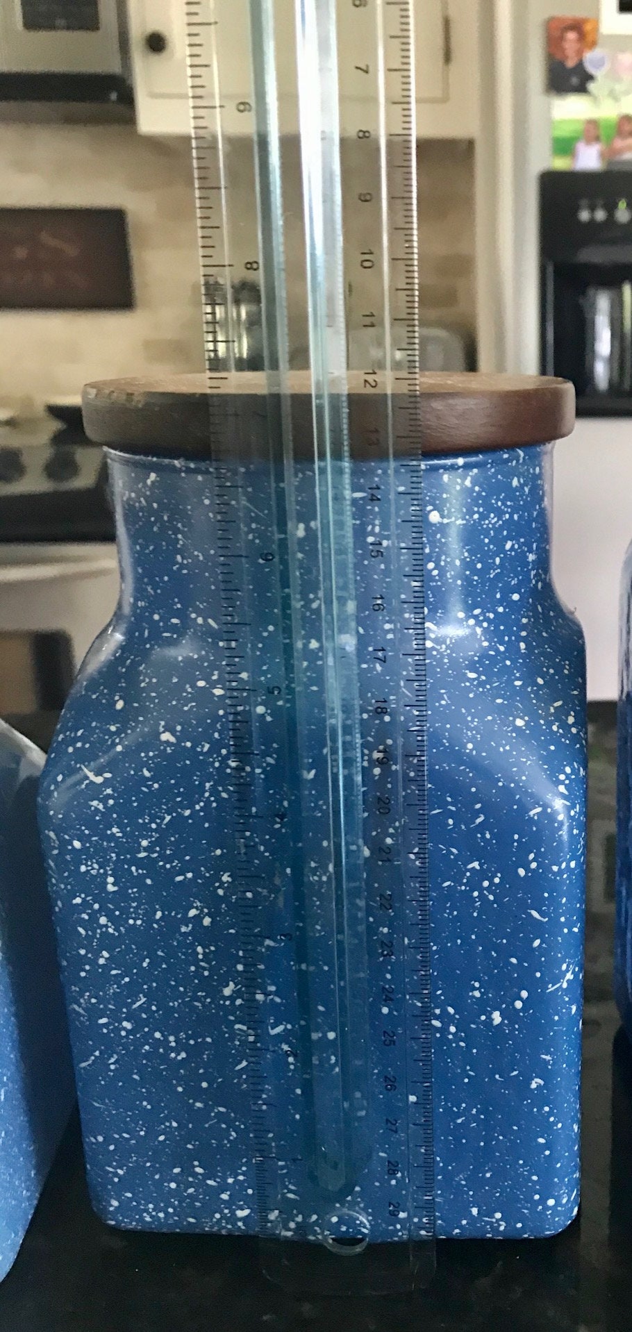 blue speckled canisters, farmhouse kitchen canisters, glass jars wooden lids, blue white speckled storage, cottagecore decor, set of 3 canisters, rustic kitchen storage Thebrokenbirdcompany free shipping