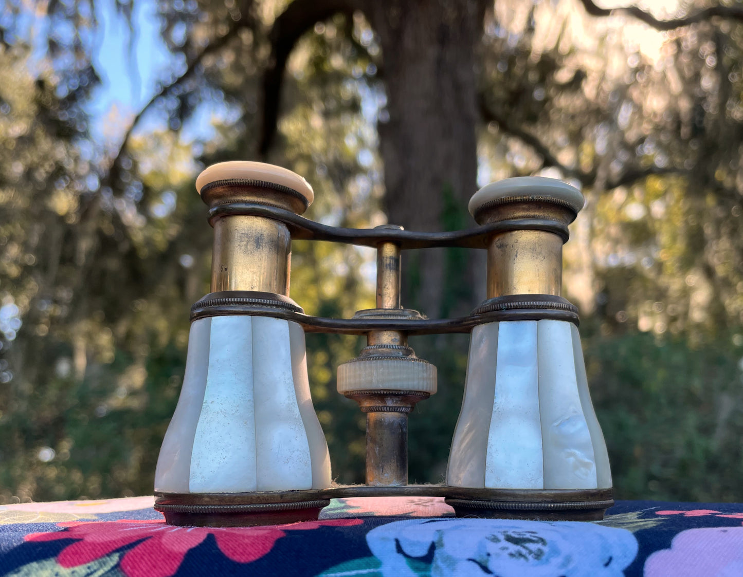 Vintage Verei Mother Of Pearl French Opera Binocular Viewing Glasses