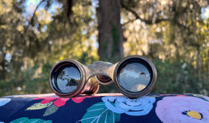 Vintage Verei Mother Of Pearl French Opera Binocular Viewing Glasses