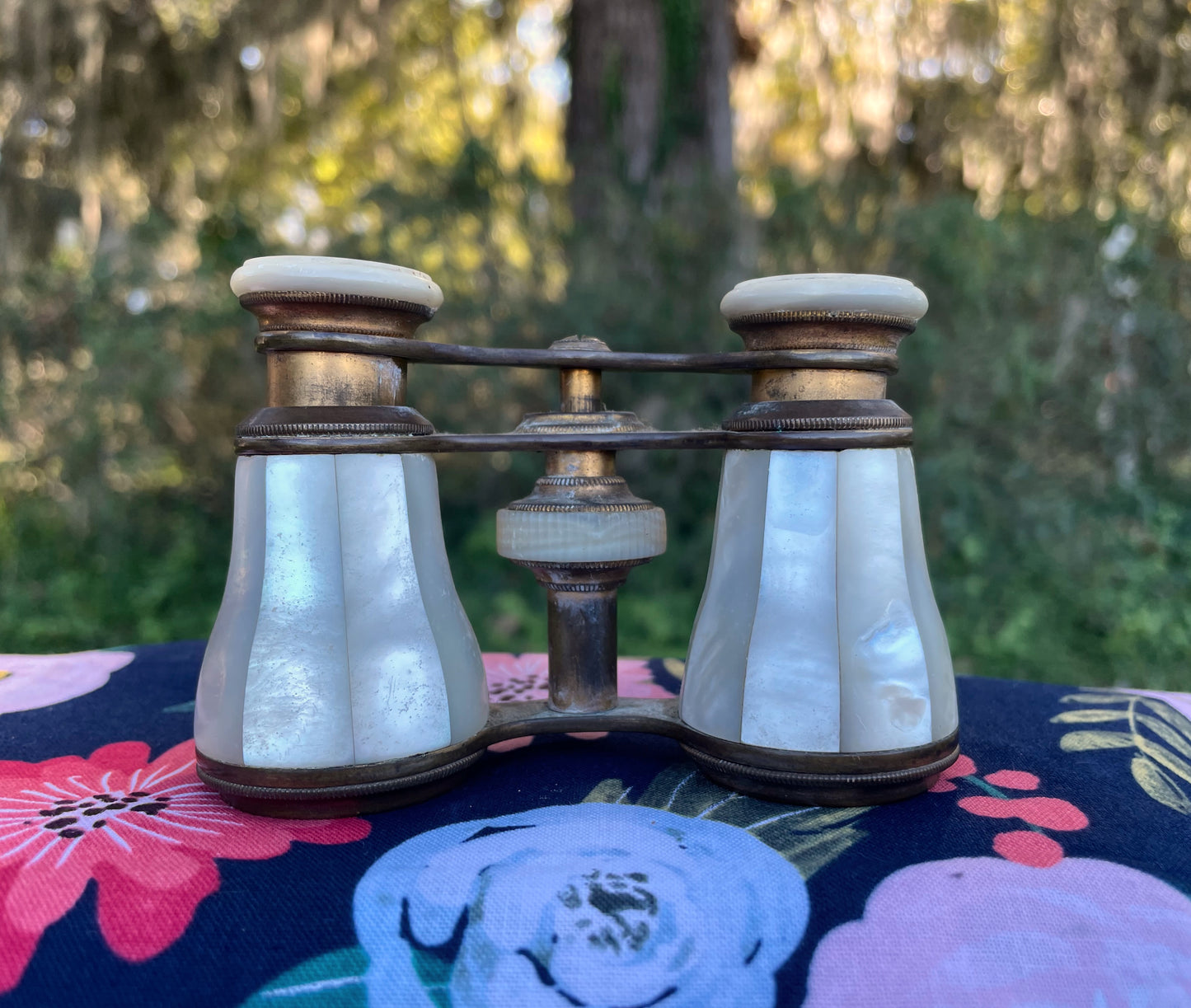Vintage Verei Mother Of Pearl French Opera Binocular Viewing Glasses